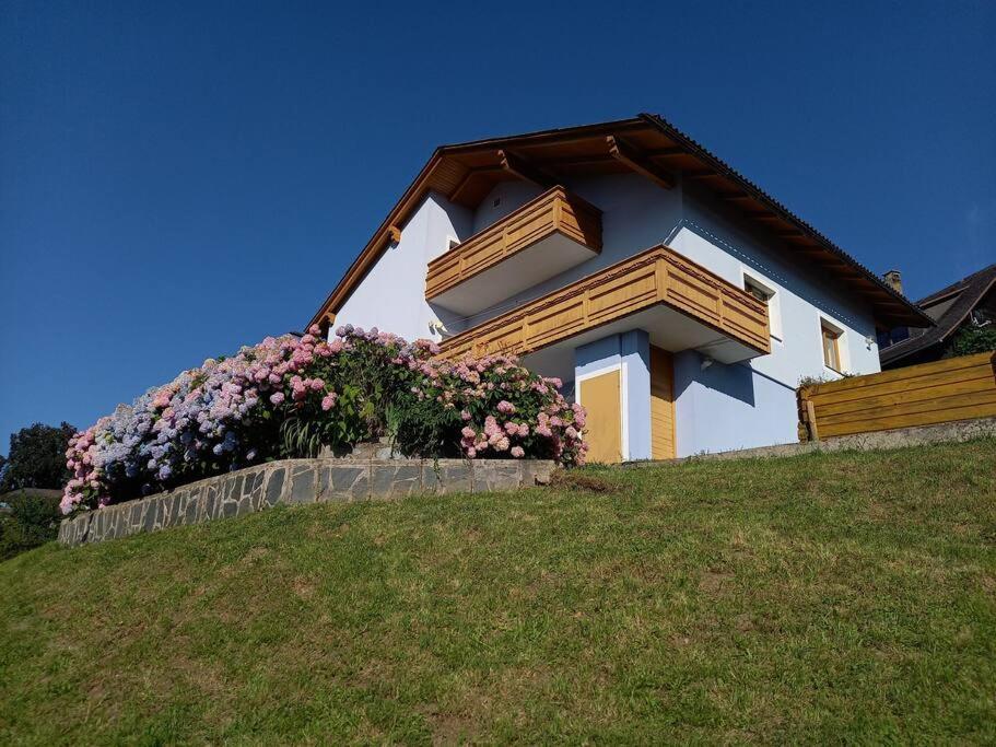 Haus Sonnenhang +Seeblick+Pool Reifnitz Ngoại thất bức ảnh